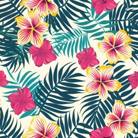 Summer Shape 341